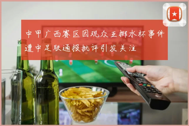 中甲广西赛区因观众互掷水杯事件遭中足联通报批评引发关注